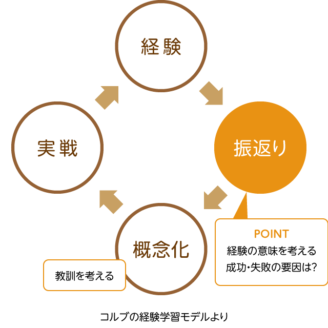 コルブの経験学習モデルより